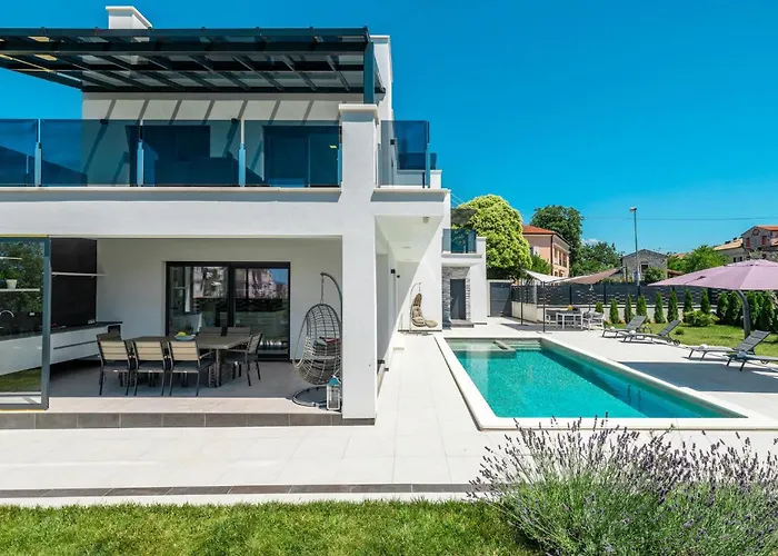 Pet Friendly In * Πόρετς